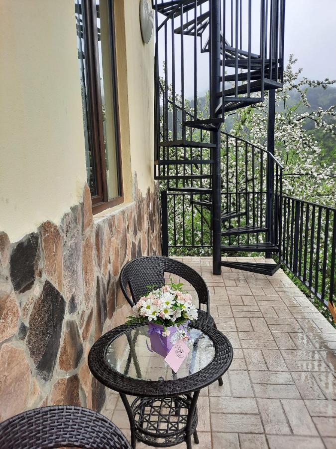 Guest House Bochora Borjomi Exterior photo